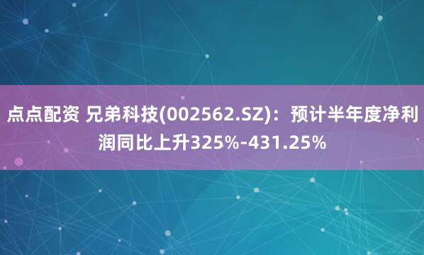 点点配资 兄弟科技(002562.SZ)：预计半年度净利润同比上升325%-431.25%