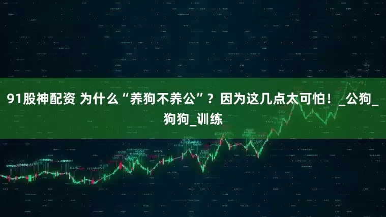 91股神配资 为什么“养狗不养公”？因为这几点太可怕！_公狗_狗狗_训练